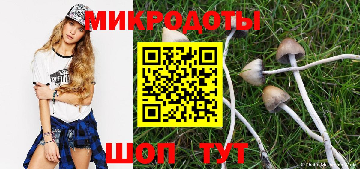 Евпатория  Псилоцибиновые грибы Psilocybe  Псилоцибиновые грибы Cubensis  Вход с VPN 